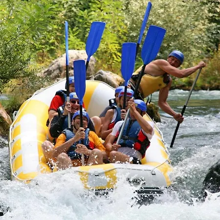 Lipa * Jesenice (Split-Dalmatia)